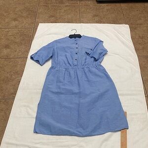 Blue Button-Up Dress